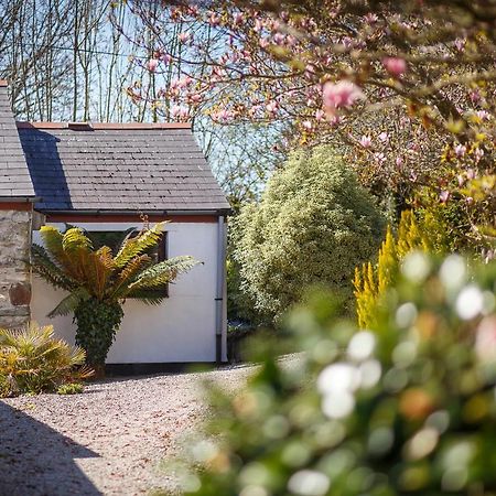 The Snug At Cornish Barn Holidays Truro Buitenkant foto