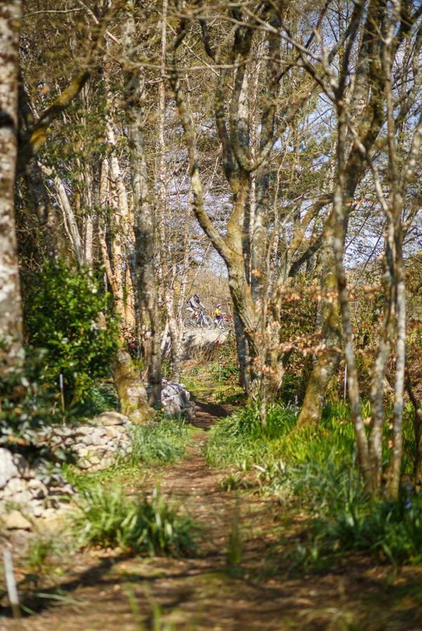 The Snug At Cornish Barn Holidays Truro Buitenkant foto